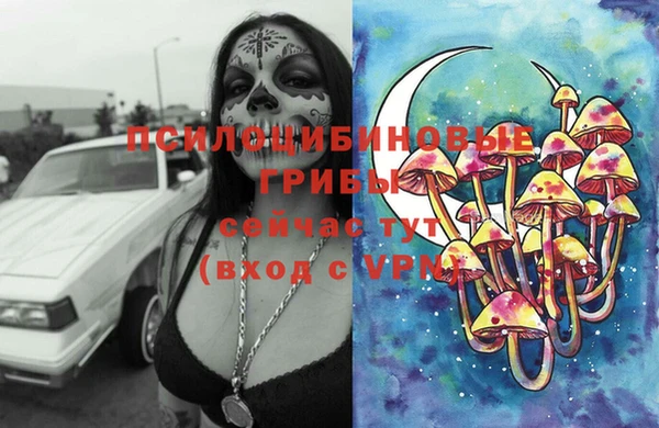 трава Арсеньев