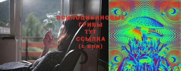 трава Арсеньев
