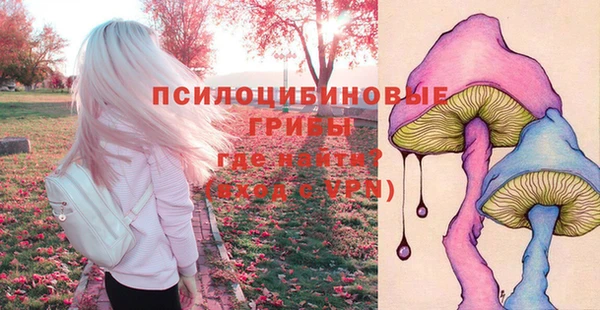 трава Арсеньев